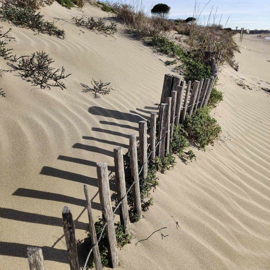のインスタグラム：「Le printemps est en route ☀️  #springiscoming #plage #mermediterranee #occitanie #inspiration #soleil #fevrier2021」