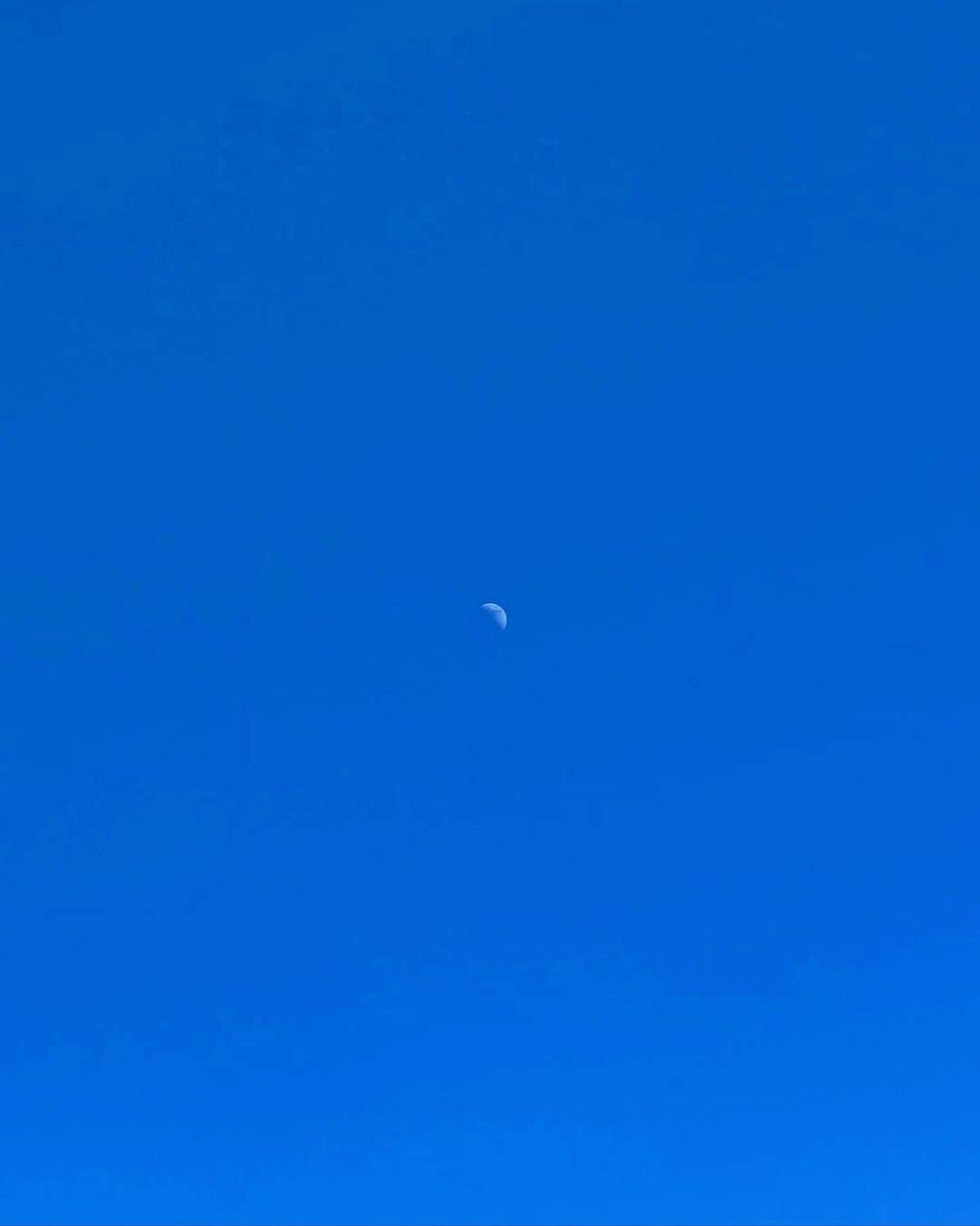 芽朗さんのインスタグラム写真 - (芽朗Instagram)「昨日は、お昼から出勤だったそうな。  #moon」2月20日 20時56分 - mellowfukushima