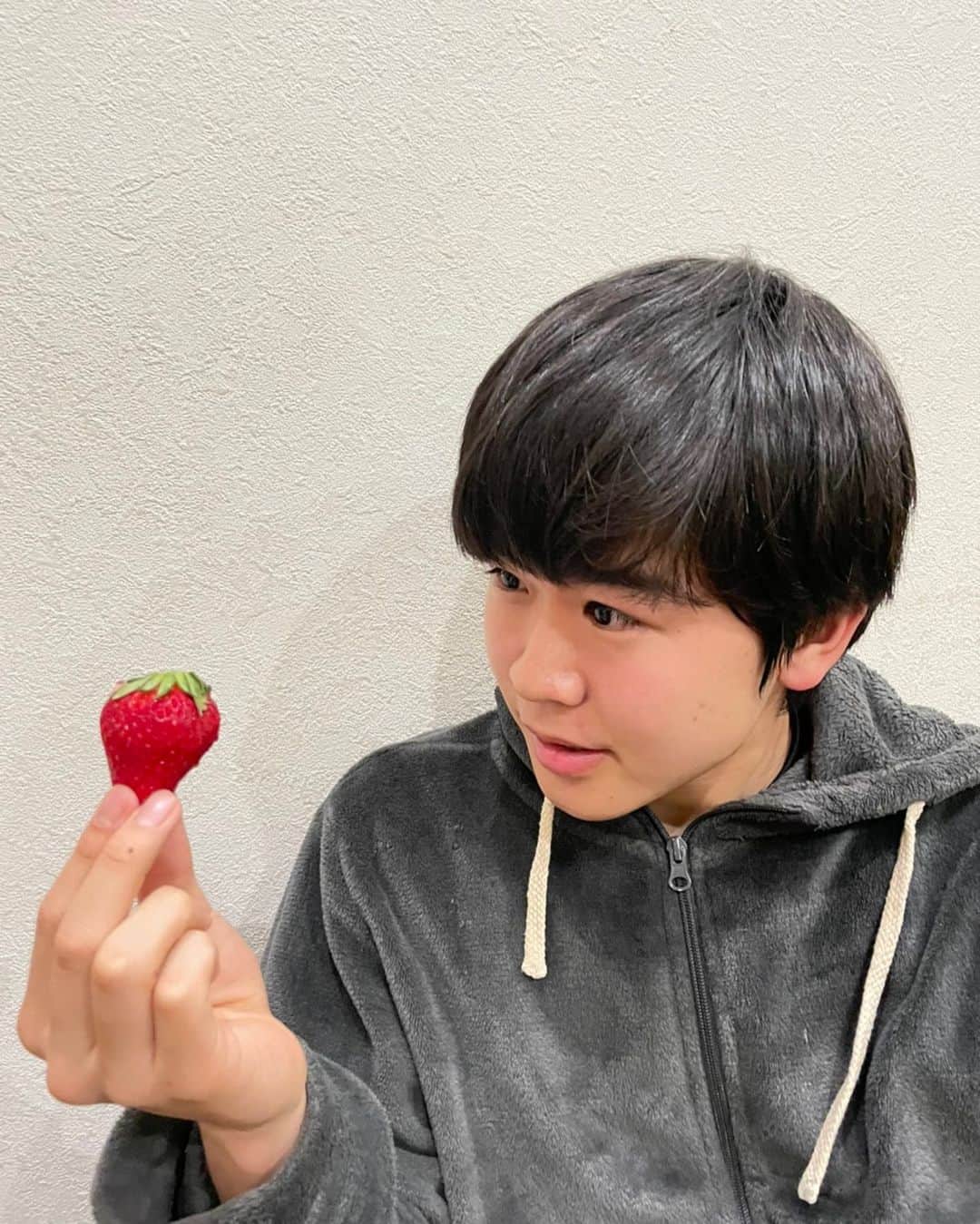 鈴木福さんのインスタグラム写真 - (鈴木福Instagram)「めちゃくちゃおいしい苺を送っていただいて！ めちゃ甘かったです(笑)  みんなで美味しく食べました！  #苺#おいしい#あまーい」2月20日 20時59分 - s_fuku_te