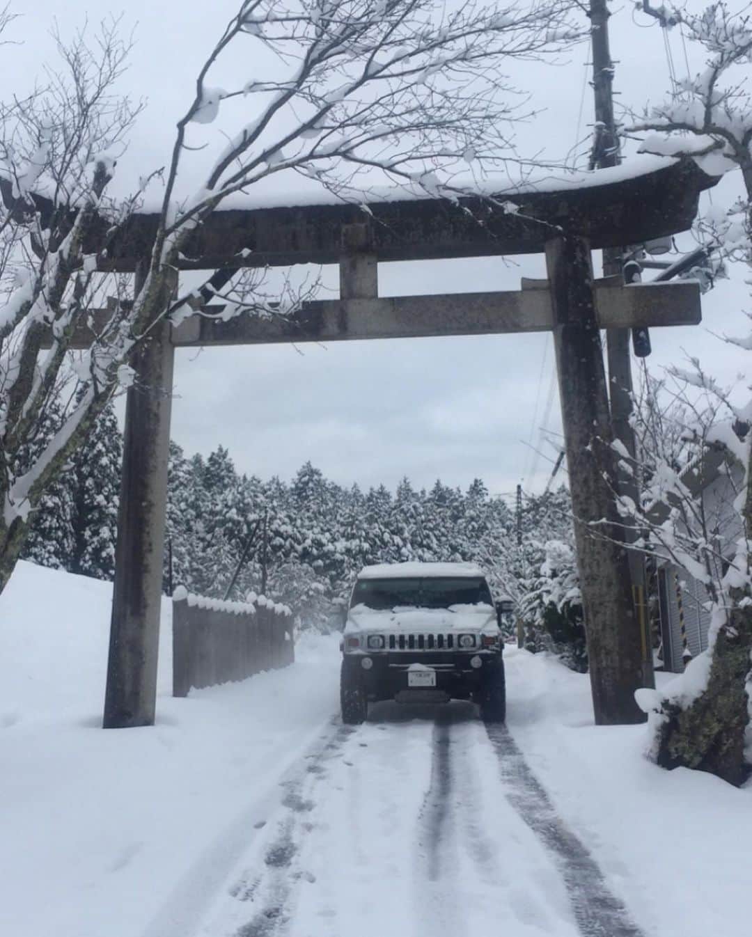 北野貴之さんのインスタグラム写真 - (北野貴之Instagram)「札幌離れたのに、また、また、雪になっちゃった。 京都山奥。  #京野菜#美味#家探し#漢弟子」2月20日 21時07分 - takashi_kitano
