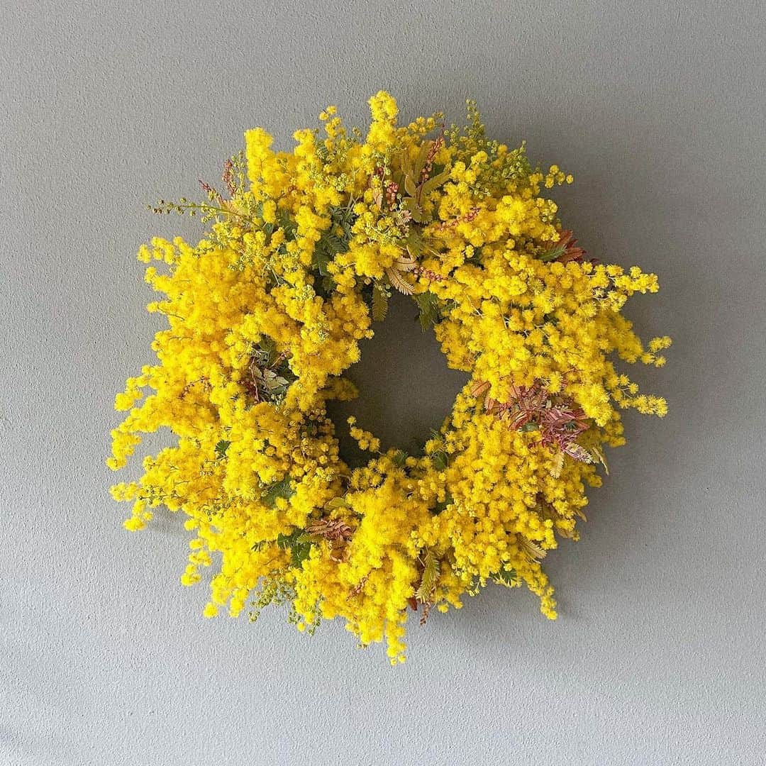 吉岡結紀のインスタグラム：「✐☡ ・ ミモザのリース🌼🤍 リース作り楽しい🧸次は紫陽花かなぁ♡ とりあえずミモザが好きすぎてお庭に木植えよ🤩！てなった🪴笑 ・ #mimosa #mimosawreath #wreath #flowerwreath #handmade #flowers #ミモザ #ミモザのリース」