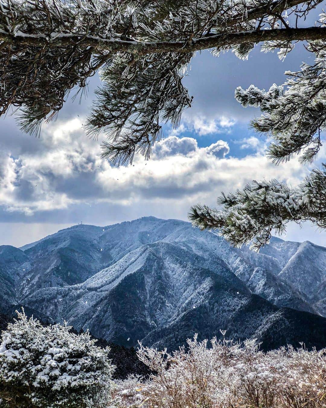 Koichiのインスタグラム：「The last snow...maybe  今年の雪はそろそろ終わりですかね？  #Hellofrom #Japan #Nara #大和葛城山 #奈良  #BeautifulJapan #ShotOniPhone  .」