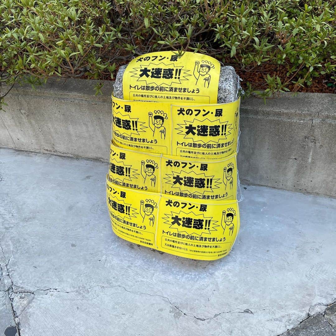 のインスタグラム：「つつみ込むように…」