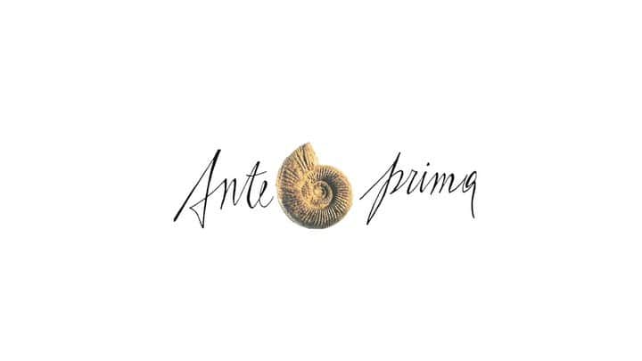 ANTEPRIMAのインスタグラム