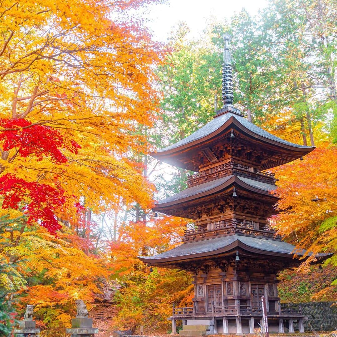 Hanako公式さんのインスタグラム写真 - (Hanako公式Instagram)「【#HanakoTravel】﻿ 📍今回は長野県佐久市へ。旅したのは @6151 さん。優しい空気に包まれる、癒しのスポットで心も体もフル充電🌕 ﻿ 東京から新幹線で約75分の長野県佐久市。貞祥寺は隠れた絶景パワースポット🍁紅葉の季節に限らず、四季折々の美しさを感じられる場所です。 ﻿  #Hanako #Hanako_magazine #長野旅 #長野女子旅 #長野スイーツ #佐久旅 #カメラ旅 #佐久観光 #佐久グルメ #長野観光 #長野グルメ #旅の記録 #コーヒー #ホテルステイ #おこもりホテル #ホテル好き #コーヒー好き #カフェ部 ﻿ ﻿ 📣# Hanakotravel ではインスタグラファーが国内外のいろいろな土地を旅して、誌面とInstagramの両方で素敵な写真をお届しています。」2月20日 21時57分 - hanako_magazine