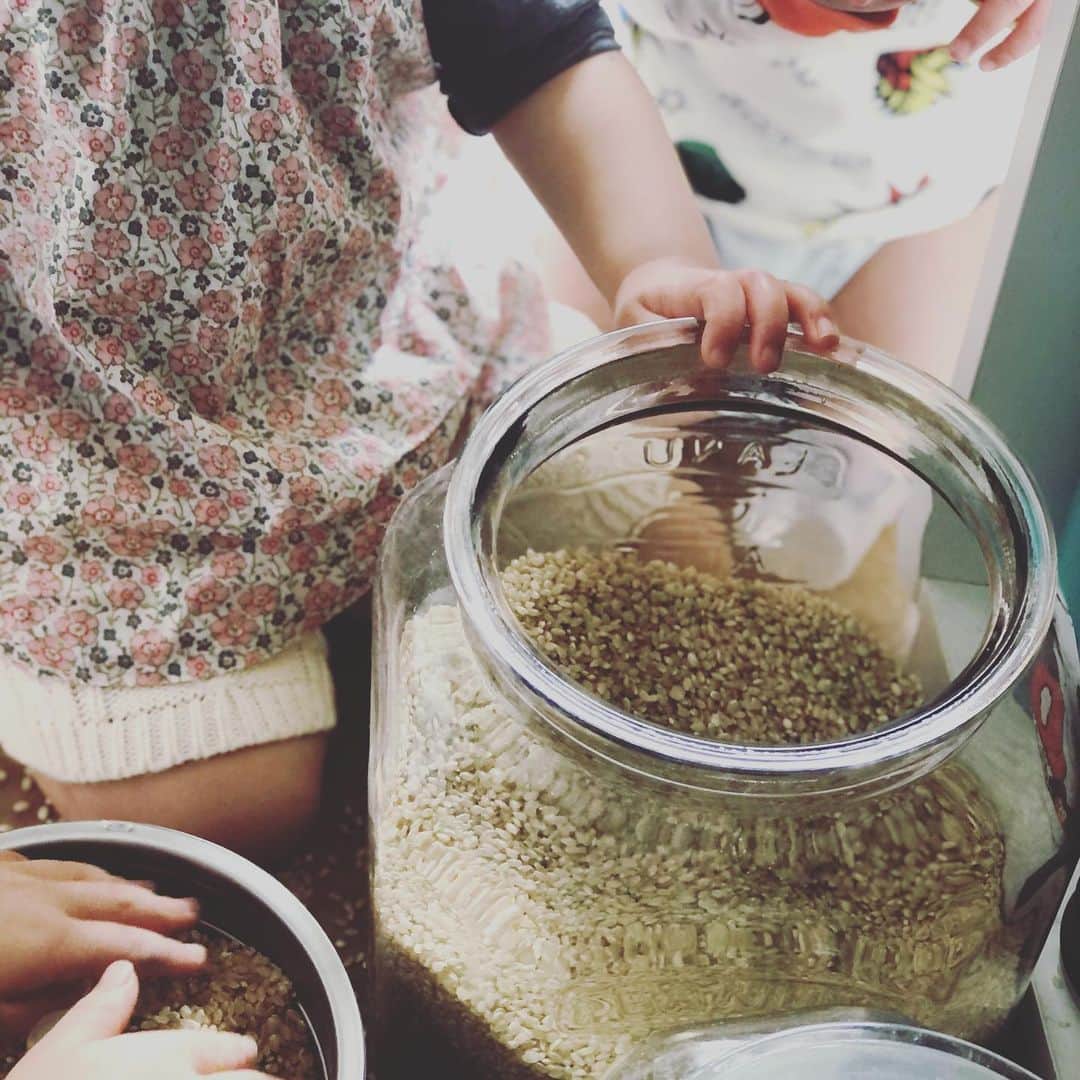 松尾翠さんのインスタグラム写真 - (松尾翠Instagram)「精米をしてたら  ちびたちが  「なぁにしてんの〜」🙂🙃  ぬおっとぉぅ！  きてしまった！  安定のやりたぁーい 発動😂  軽快に移し　こぼしまくるボンバー先輩 ＆ お米をひたすら手につけてもみこする手下・ボー  おねえもやってきて  「すりきりは私がしたい！」  いや、やつらの手法に すりきりはなさそうだぞ・・・  なんだか盛り上がりをみせていた  本日の精米タイムでした🤣✨  玄米は 7分付きか6分付きに精米して 米ぬかも色々つかいます😍  お風呂に入れたり　食べたり🙃  今日も一日 それぞれの持ち場で お疲れ様でした♡  ねむいねむいzzz  #おうち精米  #やつらがきたぞー  #米好き  #米ぬか  #台所しごと  #こどもと暮らす  #おままごと  #ボンバーとボー」2月20日 21時59分 - midori.matsuo_official