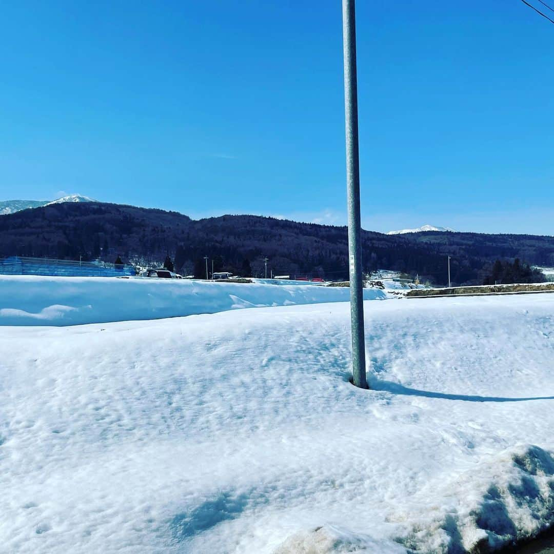 高橋茂雄さんのインスタグラム写真 - (高橋茂雄Instagram)「雪だー！！」2月20日 13時27分 - shigeo0128