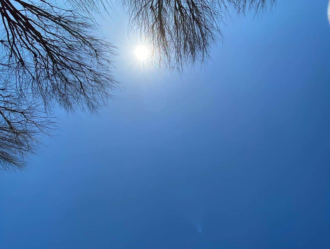 福原美穂さんのインスタグラム写真 - (福原美穂Instagram)「#nonfilter もし天国があるならこんなとこがいいなぁ。 ずっと暖かくて鳥の声と緩やかな音楽と。  #sunonmywings #ピクニック」2月20日 13時50分 - miho_fukuhara