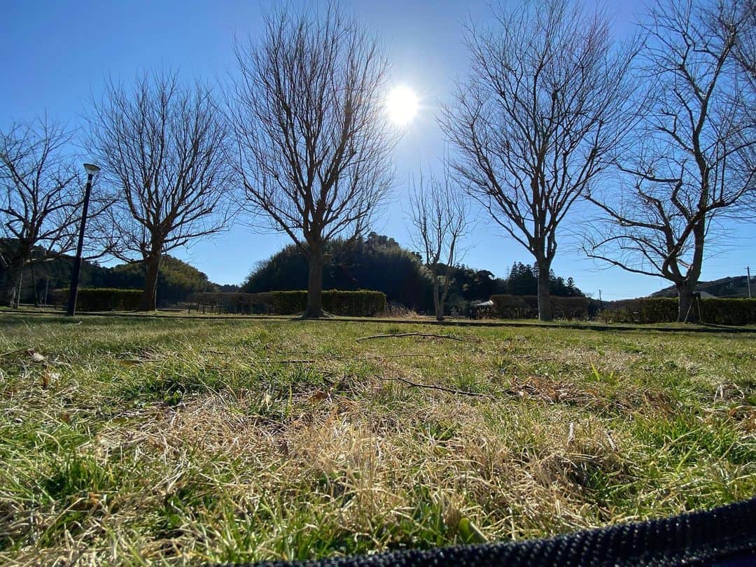福原美穂さんのインスタグラム写真 - (福原美穂Instagram)「#nonfilter もし天国があるならこんなとこがいいなぁ。 ずっと暖かくて鳥の声と緩やかな音楽と。  #sunonmywings #ピクニック」2月20日 13時50分 - miho_fukuhara