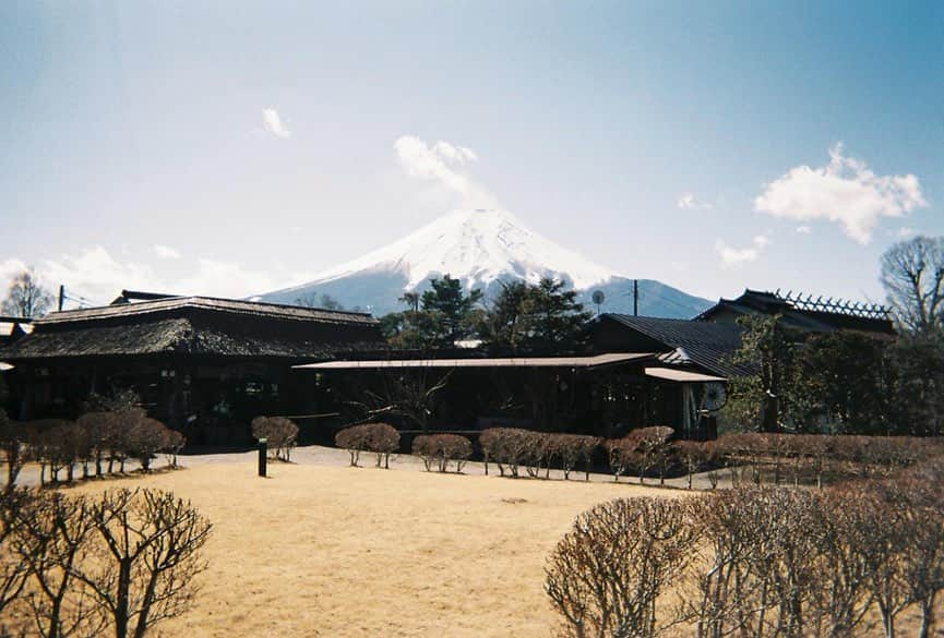 小田飛鳥さんのインスタグラム写真 - (小田飛鳥Instagram)「#写ルンです #山梨 #河口湖 #富士山 #fujisan #mtfuji #忍野八海 #osinohakkai #富士山パノラマロープウェイ #河口湖駅」2月20日 14時43分 - asuka_oda_0320