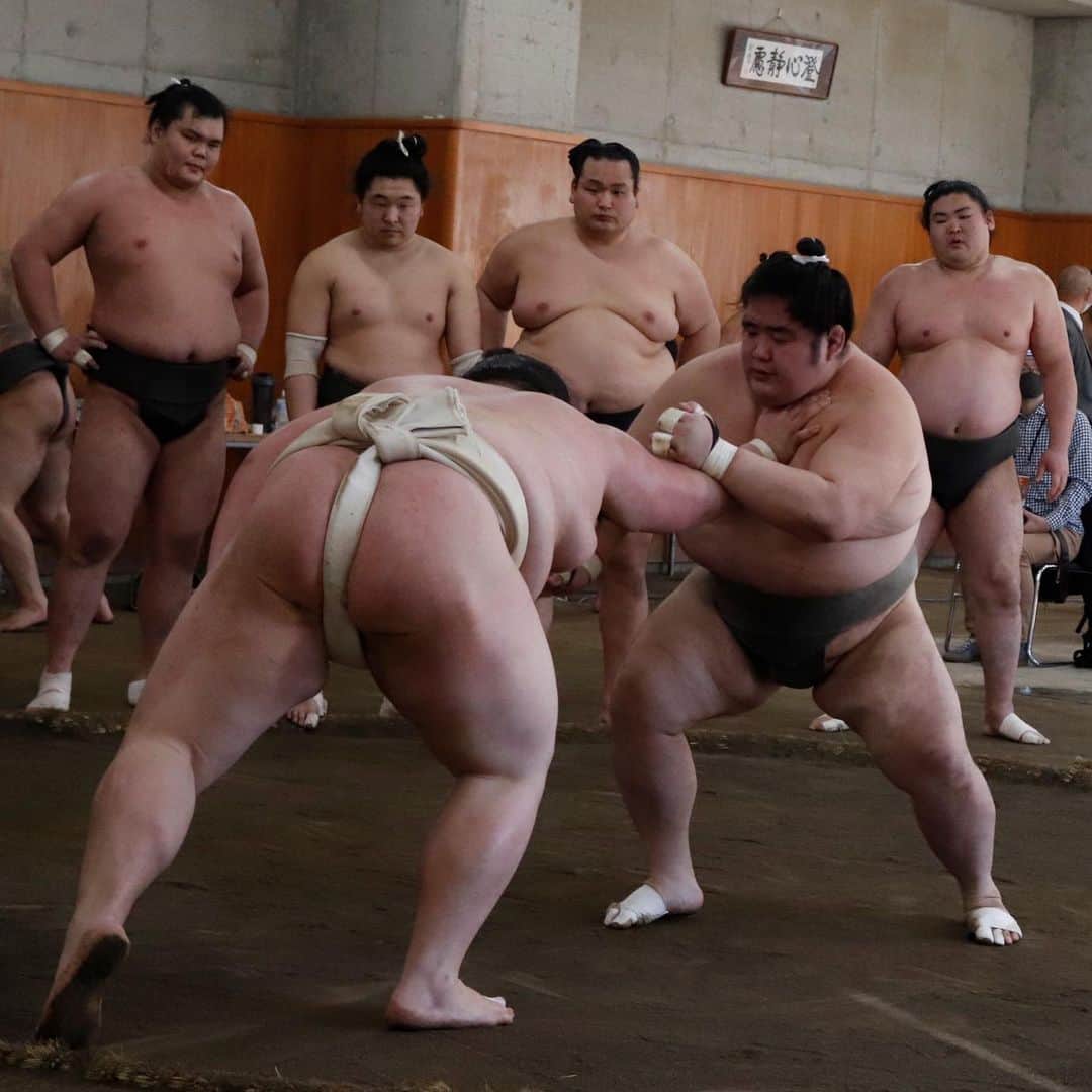 日本相撲協会さんのインスタグラム写真 - (日本相撲協会Instagram)「本日、相撲教習所で合同稽古が行われました。  明日の合同稽古は、日本相撲協会YouTubeで朝8時頃より生配信します！  @sumokyokai #大相撲 #sumo #相撲 #力士 #お相撲さん #japanphoto #sumowrestlers #japanculture #cooljapan #霧の富士　#塚原　#錦木　#若山　#朝乃山　#霧馬山　#髙安　#逸ノ城　#王鵬　#鶴竜　#」2月20日 14時48分 - sumokyokai