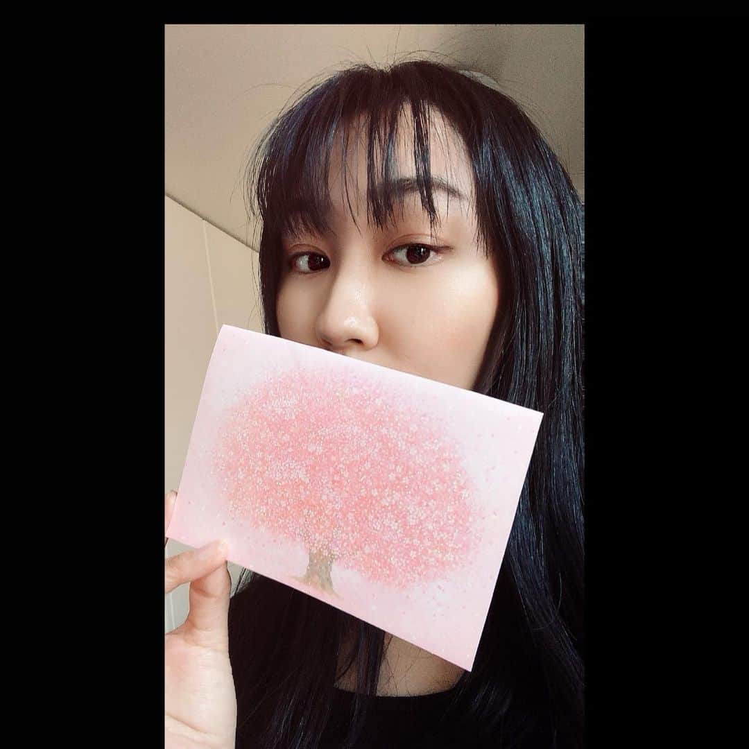 のインスタグラム：「Spring has come🌸  可愛い桜ポストカード📮💕  #sakura #cherryblossom  #postcard #ポストカード #桜 #春 #春が来た #春よ来い」