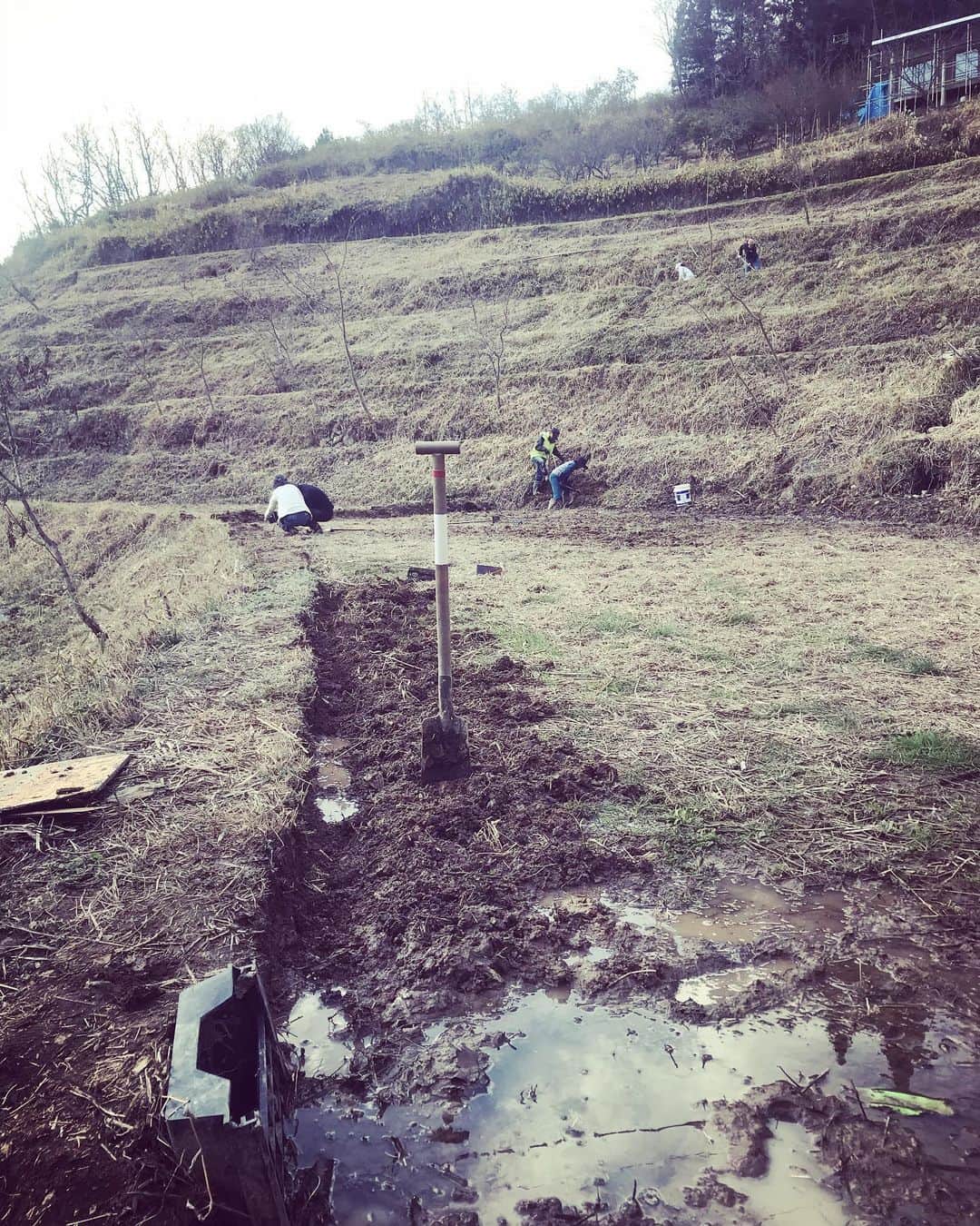 三宅洋平のグルメインスタ