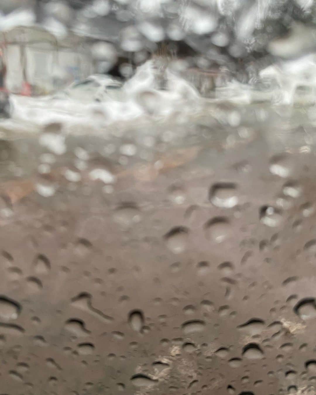 篠栗たかしのインスタグラム：「山形県新庄市につきました！！﻿ ﻿ 雨が降ってますが、雨を集める道具がありません！！﻿ ﻿ 新庄市のお近くにお住まいの方、﻿ バケツでもペットボトルでも構いませんので、恵んでください！！﻿ ﻿ よろしくお願いします！！﻿ ﻿ #視聴者様に飼われたい ﻿ #エイトブリッジ」