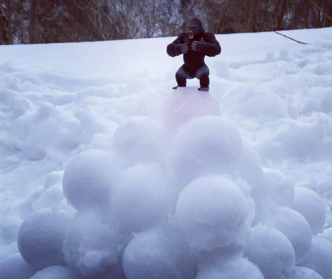 上村知世さんのインスタグラム写真 - (上村知世Instagram)「今日は胎内スキー場でソリ🛷 子ども相手にムキになってしまったw #snow #winter #lifeiswinterwonderland #sled #胎内スキー場」2月20日 16時28分 - tomose0207