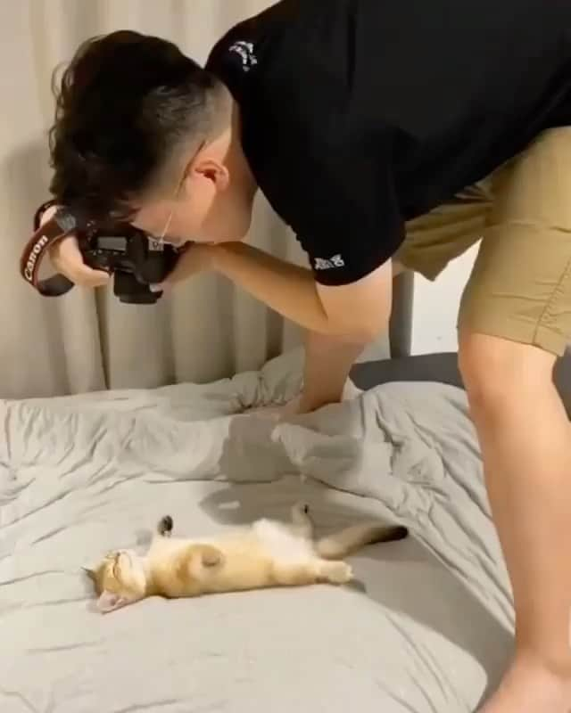 クレメンツリベイロのインスタグラム：「#caturday 📸」