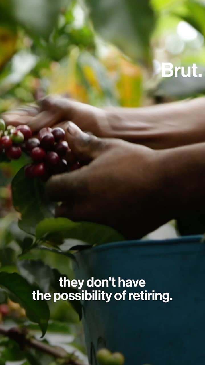 Nespressoのインスタグラム：「“I have worked all my life trying to improve the living conditions of those without opportunities”.   This is the purpose of Dario Soto Abril, CEO of @fairtradeofficial, who joined the AAA Program to support farmers in building sustainable livelihoods.   #Nespresso #DoingIsEverything #Fairtrade」