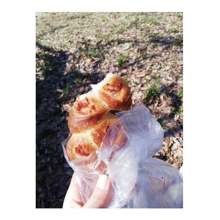 のインスタグラム：「サイクリングしながらお初のパン屋に寄ってパン買って、公園でピクニック☀️🥐 日が暖かくなってきたよな～外の風が気持ちいい🌲 . 📸 大好きなベーコンエピ(チーズ入り！)、あんバタークロワッサン、明太子フランス🥖全部うんまかったけど、袋で一番見えづらいあんバタクロワッサンが大大大ヒットに美味しかった～～♡ #cycling #picnic #bread #パン」