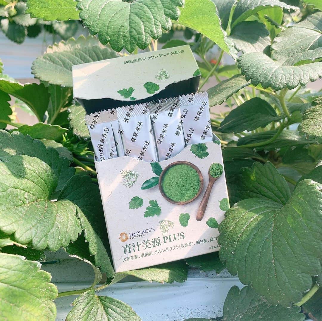 長崎真友子のインスタグラム：「【my favorite】 Recently, I'm getting unhealthy, and I found a supplement that I can drink without water if I have to supplement my nutrition! ︎ A new sensation that melts quickly in your mouth!  Matcha flavored, sweet and really delicious 💕  昨日も疲れすぎてお化粧したまま寝落ちてた😭朝起きたらガーーーン。この年齢でお化粧したまま朝を迎えるのは肌にダメージ大過ぎて辛い。  そんな不健康生活になりつつある最近、なんとか栄養補わねばと水無しで飲めるサプリメント見つけた‼︎ 口の中でサッと溶ける、新感覚！一ヶ月分入ってて、お手軽‼︎抹茶味で、甘くて、ほんと美味しい💕  ここ何日かはご飯食べる時間なくてサラダチキンだけの日とかあるから栄養分が欲しかったのです。野菜採れないと肌カサカサするんだよ😂女性に嬉しいプラセンタもアミノ酸を多く含む馬プラセンタを配合ですって！ 牛乳とかお水、ヨーグルトに混ぜても絶対美味しいよね。  I didn't have time to eat lunch for the past few days, and there were days when I only had salad chicken, so I wanted nutrients. If I can't get vegetables, my skin will become dry. 😂 It contains Placenta, which is good for women, also contains horse placenta,  a lot of amino acids! It's absolutely delicious when mixed with milk, water, or yogurt.  トレーナーさんにも肌ツヤいいですよねーと言われ、調子に乗っているw  気になる方はお試しあれ^ - ^👍 Let's try it👍  #青汁　#水無し #drplacen #美源 #青汁美源plus #pr #馬プラセンタ　#アンチエイジ　#antiaging #aojiru #美容　#美容好きな人と繋がりたい #美容 #beauty #beautiful #japanesegirl #アナウンサー #フリーアナウンサー  ##tokyo #announcer #mom #mommy #vegetables #東京　#healthylifestyle #healthy #health #身体の内側から綺麗に」
