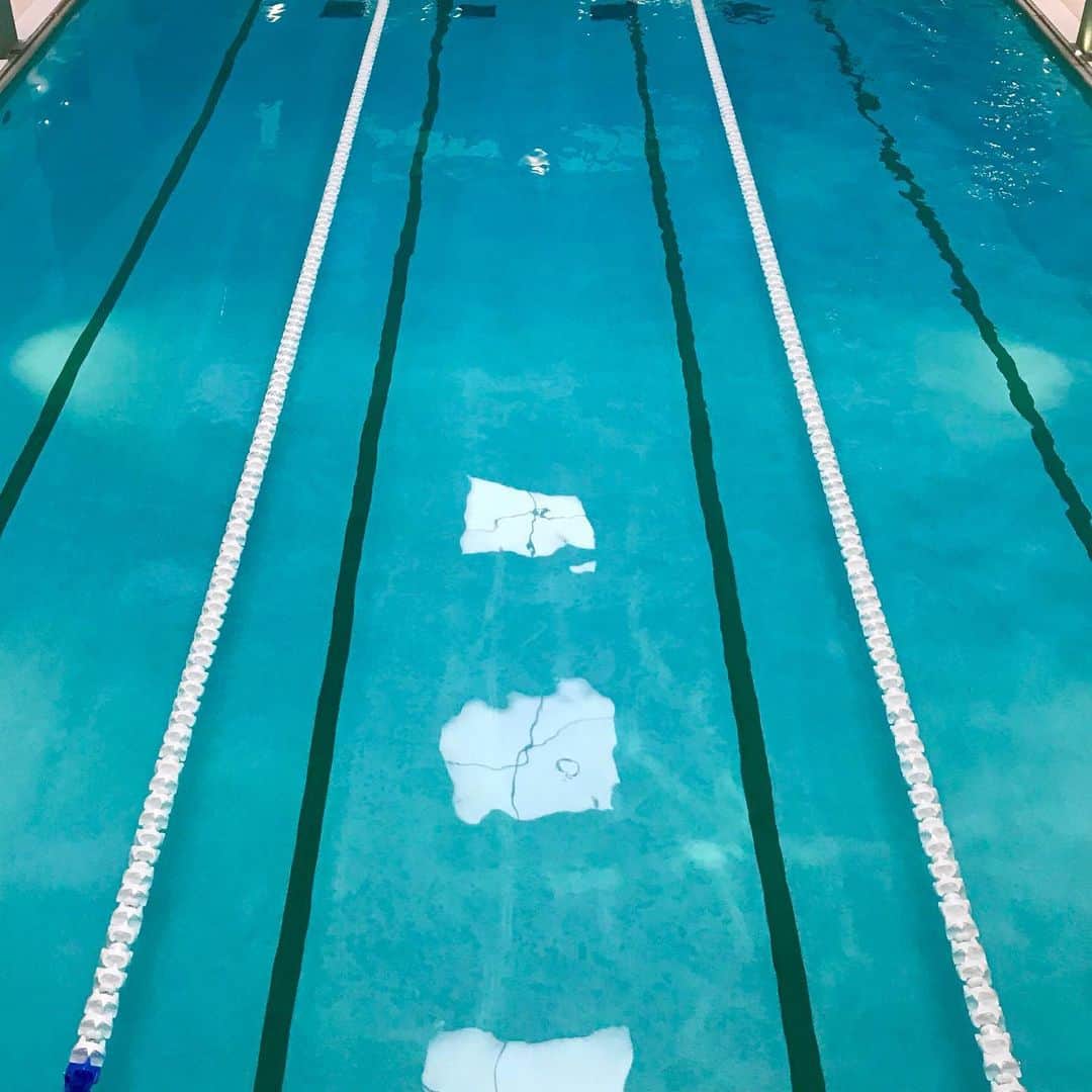 Paul Smithのインスタグラム：「Early morning swim! #takenbyPaul #PoolSmith」