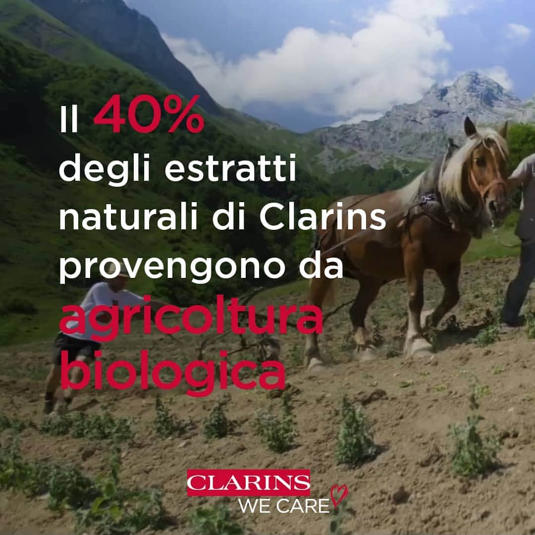 Clarins Italiaさんのインスタグラム写真 - (Clarins ItaliaInstagram)「La natura al cuore della bellezza! . . .  .  .  A parità di efficacia, tra una pianta e un prodotto di sintesi, Clarins sceglie sempre la pianta. È una regola assoluta che i ricercatori Clarins rispettano in tutte le innovazioni cosmetiche.   Il 40% dellle piante utilizzate è di origine biologica.  Scopri i nostri valori: link in bio  #Clarins #Nature #ClarinsWeCare #Skincare #MakeUp」2月20日 17時23分 - clarinsitalia