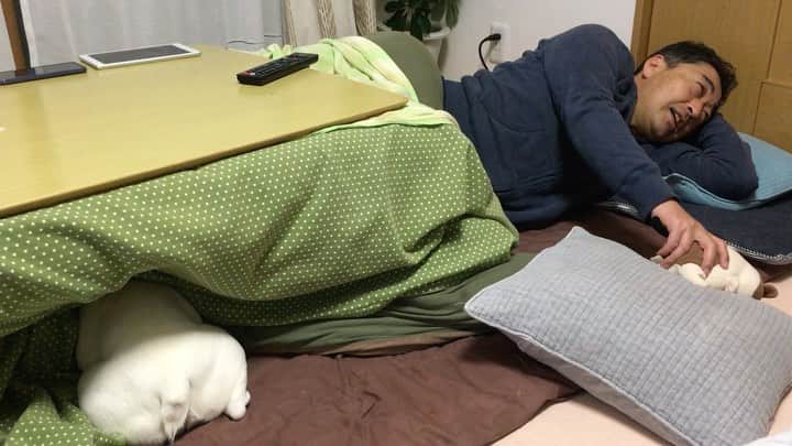 ちえぶぅたのインスタグラム：「兄さんは音が大きいおもちゃが苦手ちゃん。」