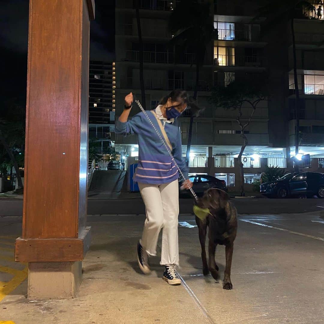 エビアン・クーのインスタグラム：「He just wants to be the main 🐶  How to not let him chase the birds? I almost fell on the floor, when we went on a run today 😭 Aloha Friday y’all :)   前にいつも出たがる! 今日は1時間以上も歩いたのに 全然疲れなくて、反対に私が疲れたー！ 一歳はやっぱり元気だね 鳩も好きでどうやっておって 行かないのかトレーニング中。  日本のみなさん地震もあって 大変だと聞きました！ 怪我被害がありませんように🙏」