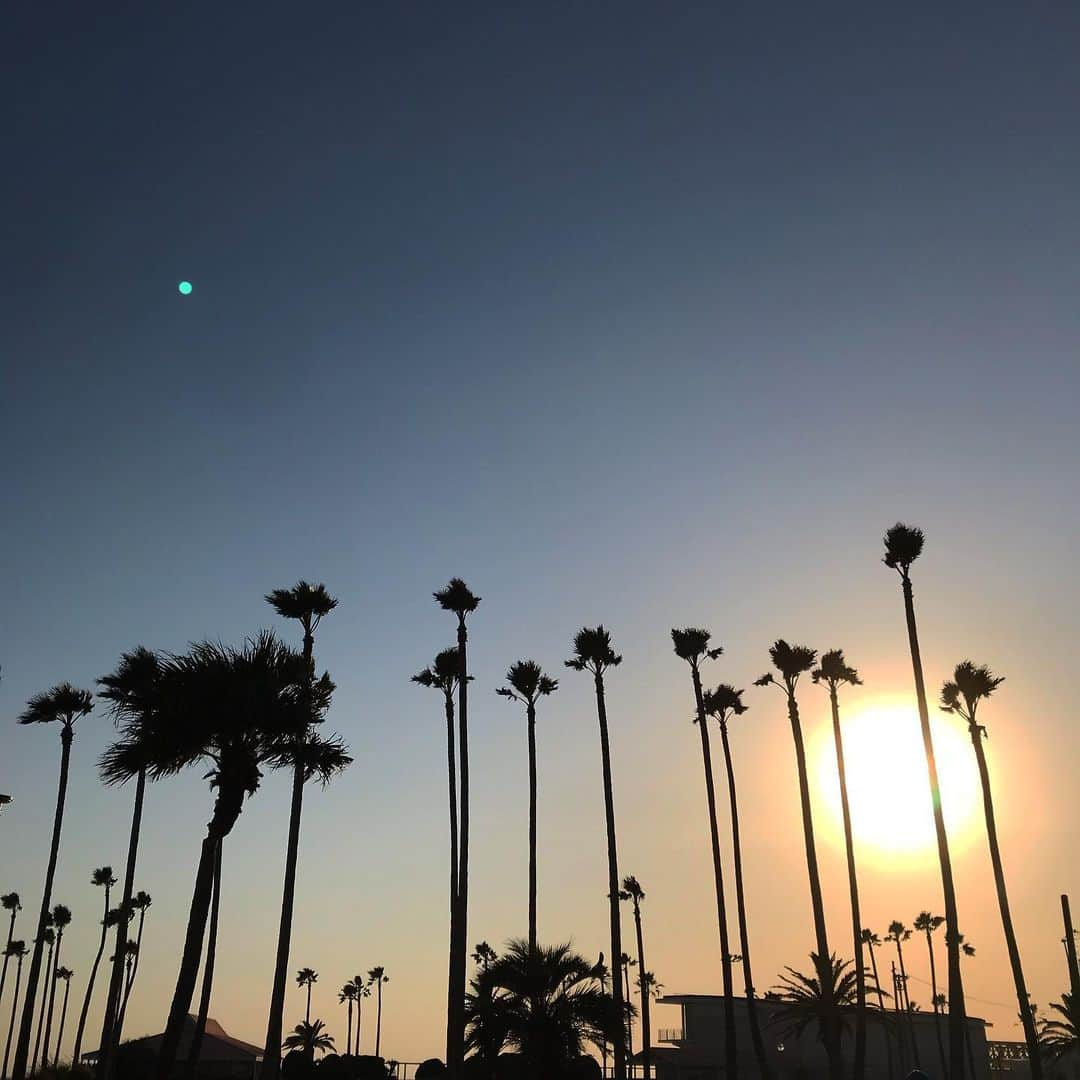 加藤章太郎さんのインスタグラム写真 - (加藤章太郎Instagram)「windy day❗️ #saturday #bluesky #sunnydays☀️」2月20日 17時35分 - __shotaro__