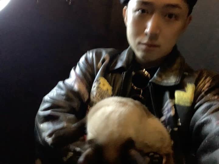 ヒョンミン のインスタグラム：「샴고양이 ㅎㅎ 완전 애겨쟁이네🤎🤍」