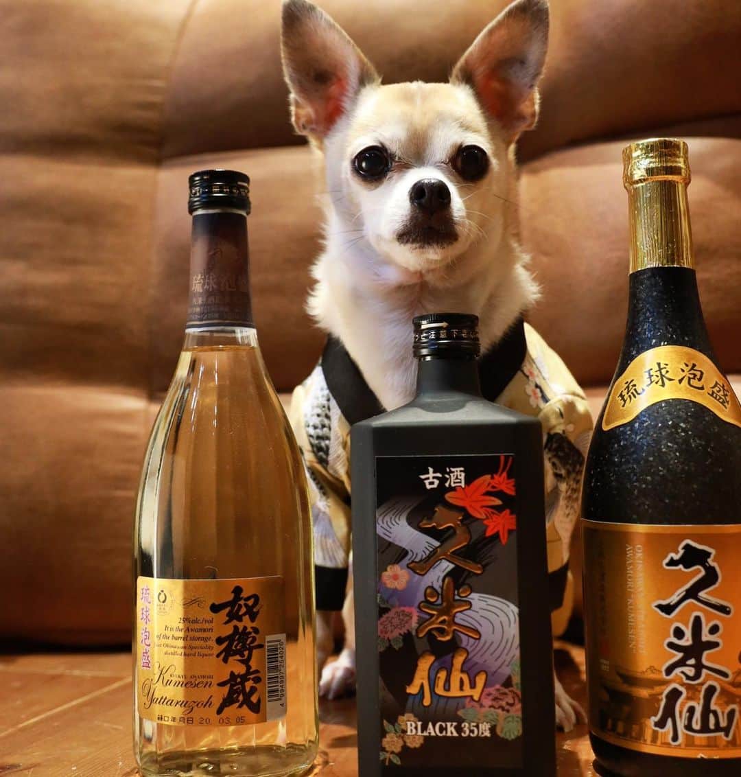 紋次郎のインスタグラム