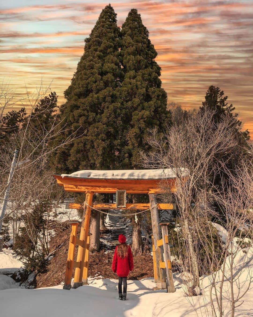 タビジョのインスタグラム：「✈︎長野県「高山神社」  本日も @tabi_jyo ではいつか行きたい国内スポットをご紹介💁🏻‍♀️💕 国内旅行を楽しんでいる様子は #tabijyomap_japan でシェアしてね🥴 ＊＊＊＊ 📸 @kyoko1903 コメント抜粋 長野にある高山（こうざん）神社。偶然通りかかった神社です⛩私は、この木がスリムなトトロに見えるのですが、夫には見えないと言われてしまいました。笑 ＊＊＊＊ #タビジョ #tabijyomap_japan #高山神社」
