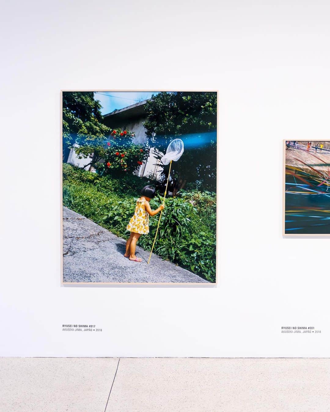 石川直樹さんのインスタグラム写真 - (石川直樹Instagram)「I am happy to announce that my exhibition “Japonésia” is showing at Museu Oscar Niemeyer in Curitiba, Brasil. ブラジルの#クリチバ にあるオスカーニーマイヤー美術館 @museuoscarniemeyer で、個展『#Japonésia』が始まりました。サンパウロのジャパンハウスに続く巡回展です。こんなに素晴らしい美術館で展示しているのに、自分が現地に行けないのが悔しい…。 島の連なりとしての日本列島に光をあてた写真群です。国境を超え、北海道島が、沖縄諸島が、環太平洋や環オホーツクの海へと滲み出す。 #ブラジル、遠いですが、万が一いらっしゃれる方はぜひ！ . Photos by Estevam Romera https://museuoscarniemeyer.org.br/exposicoes/exposicoes/japonesia . #naokiishikawa#MuseuOscarNiemeyer#OscarNiemeyerMuseum#brasil#curitiba#oscarniemeyer#オスカーニーマイヤー」2月20日 18時23分 - straightree8848