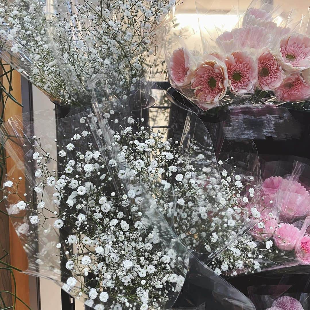 萩田帆風さんのインスタグラム写真 - (萩田帆風Instagram)「. 好きなお花がちょうど隣合わせで かわいい！！！てなってシェアしたくなりました⸜🌷︎⸝‍  最近お花屋さん見るのがマイブームになりそう🤔  #かすみ草 #ガーベラ #花のある暮らし #花言葉 #花束」2月20日 18時26分 - honchandaayo
