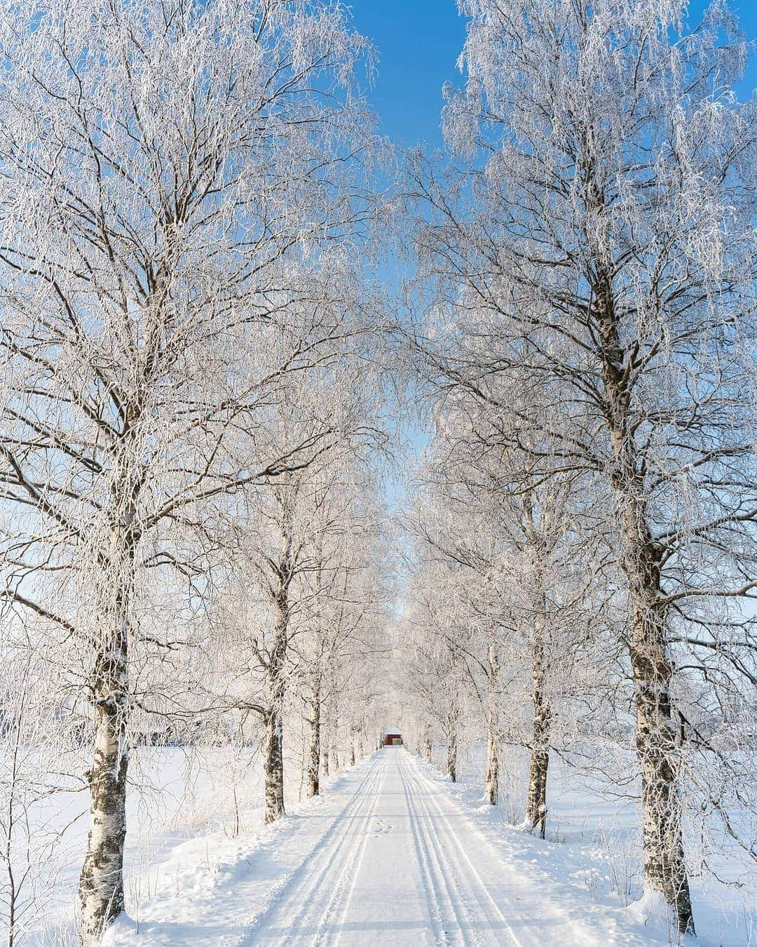 BEAUTIFUL DESTINATIONSさんのインスタグラム写真 - (BEAUTIFUL DESTINATIONSInstagram)「Pastel pink hues, powdery landscapes, and glorious sunsets—the magic of winter in Finland is a sight to behold! 🇫🇮  Winter here typically lasts from mid-November to late March. As you head north and east, winter gets even colder and longer—in northern Finland, winter temperatures often drop as low as -30°C or even down to -50°C. 🥶  Have you been to Finland in the winter? If not, do you plan to experience it in the future?   📸 @ville.kivimaki  📍 Finland」2月20日 18時37分 - beautifuldestinations