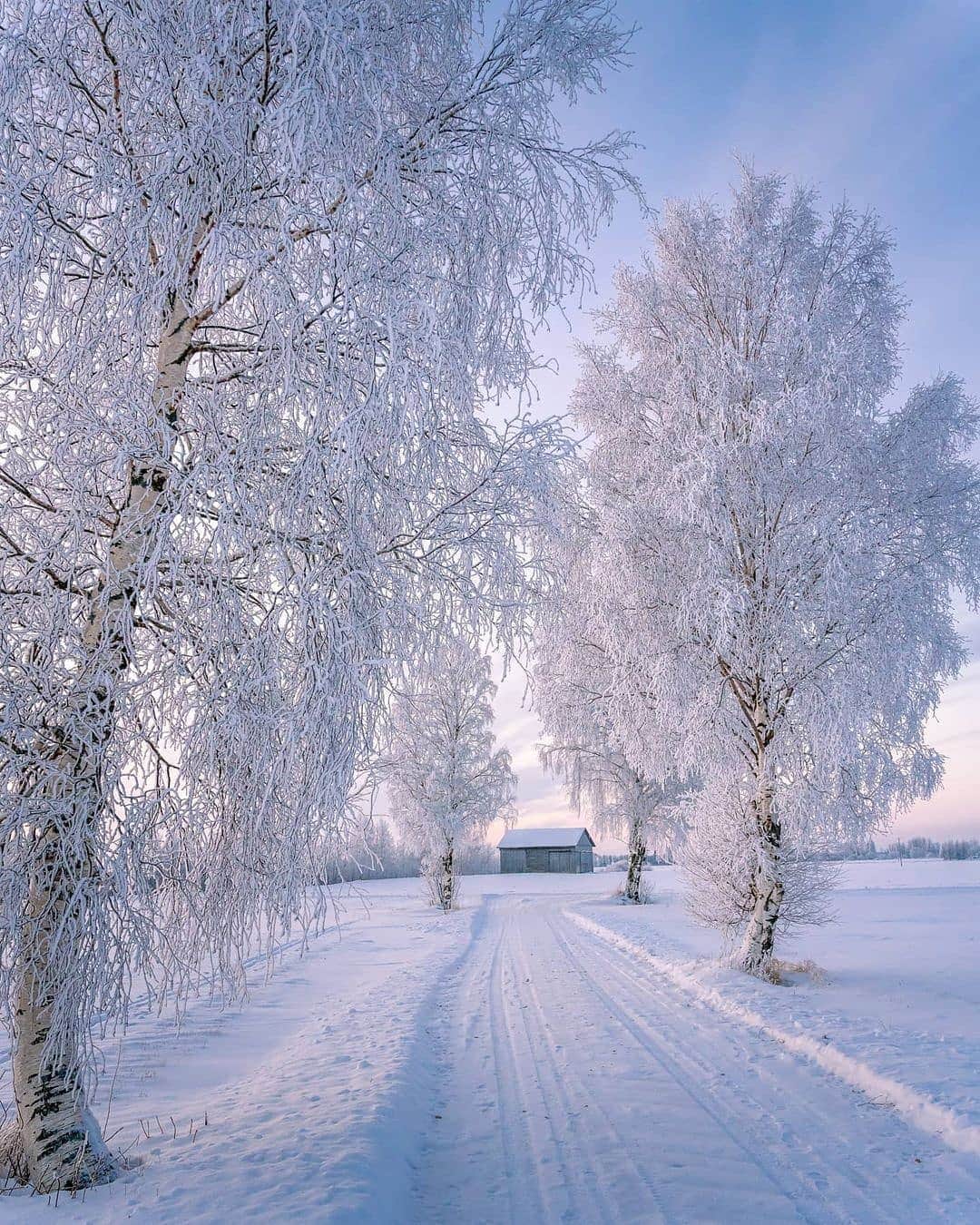 BEAUTIFUL DESTINATIONSさんのインスタグラム写真 - (BEAUTIFUL DESTINATIONSInstagram)「Pastel pink hues, powdery landscapes, and glorious sunsets—the magic of winter in Finland is a sight to behold! 🇫🇮  Winter here typically lasts from mid-November to late March. As you head north and east, winter gets even colder and longer—in northern Finland, winter temperatures often drop as low as -30°C or even down to -50°C. 🥶  Have you been to Finland in the winter? If not, do you plan to experience it in the future?   📸 @ville.kivimaki  📍 Finland」2月20日 18時37分 - beautifuldestinations