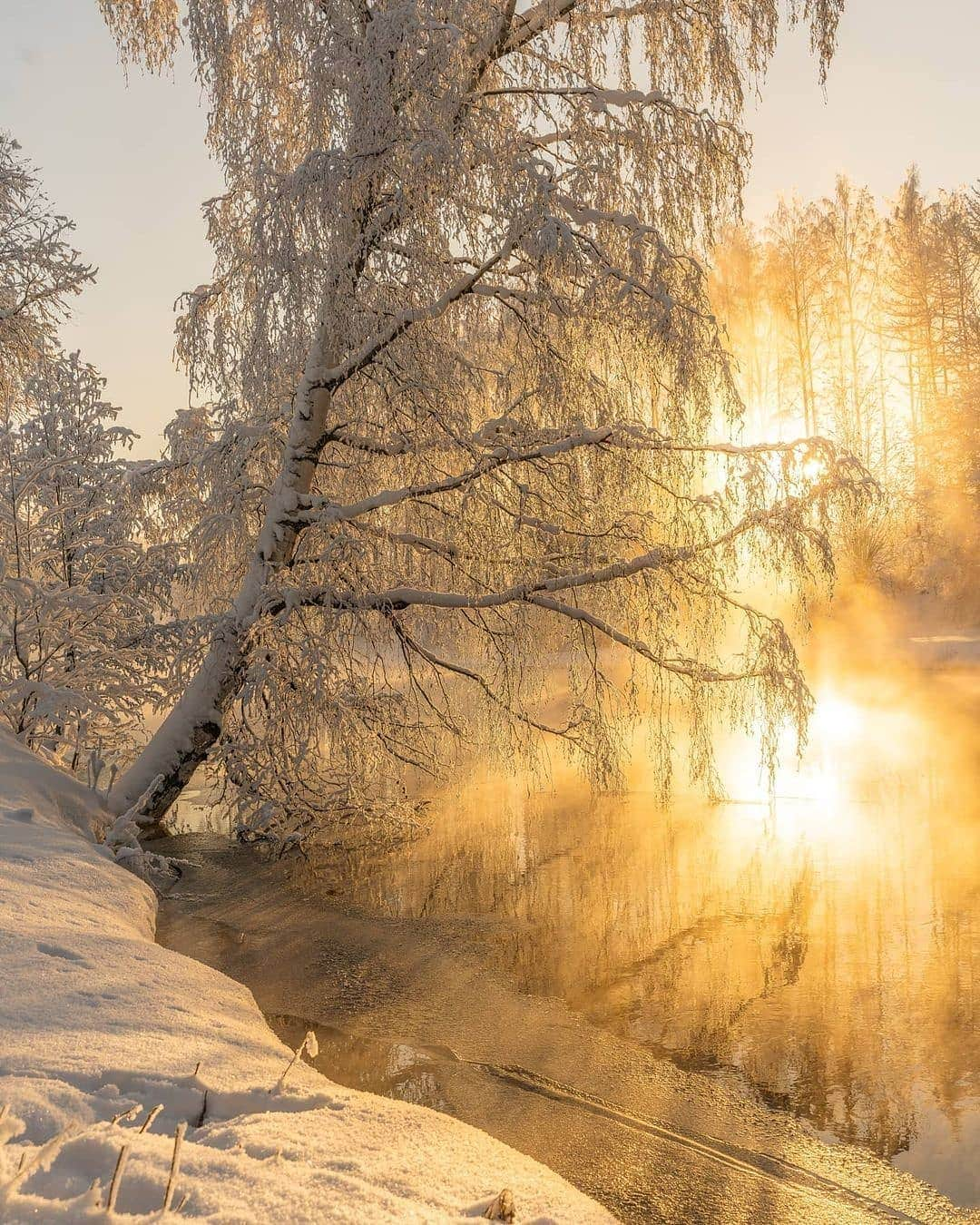 BEAUTIFUL DESTINATIONSさんのインスタグラム写真 - (BEAUTIFUL DESTINATIONSInstagram)「Pastel pink hues, powdery landscapes, and glorious sunsets—the magic of winter in Finland is a sight to behold! 🇫🇮  Winter here typically lasts from mid-November to late March. As you head north and east, winter gets even colder and longer—in northern Finland, winter temperatures often drop as low as -30°C or even down to -50°C. 🥶  Have you been to Finland in the winter? If not, do you plan to experience it in the future?   📸 @ville.kivimaki  📍 Finland」2月20日 18時37分 - beautifuldestinations