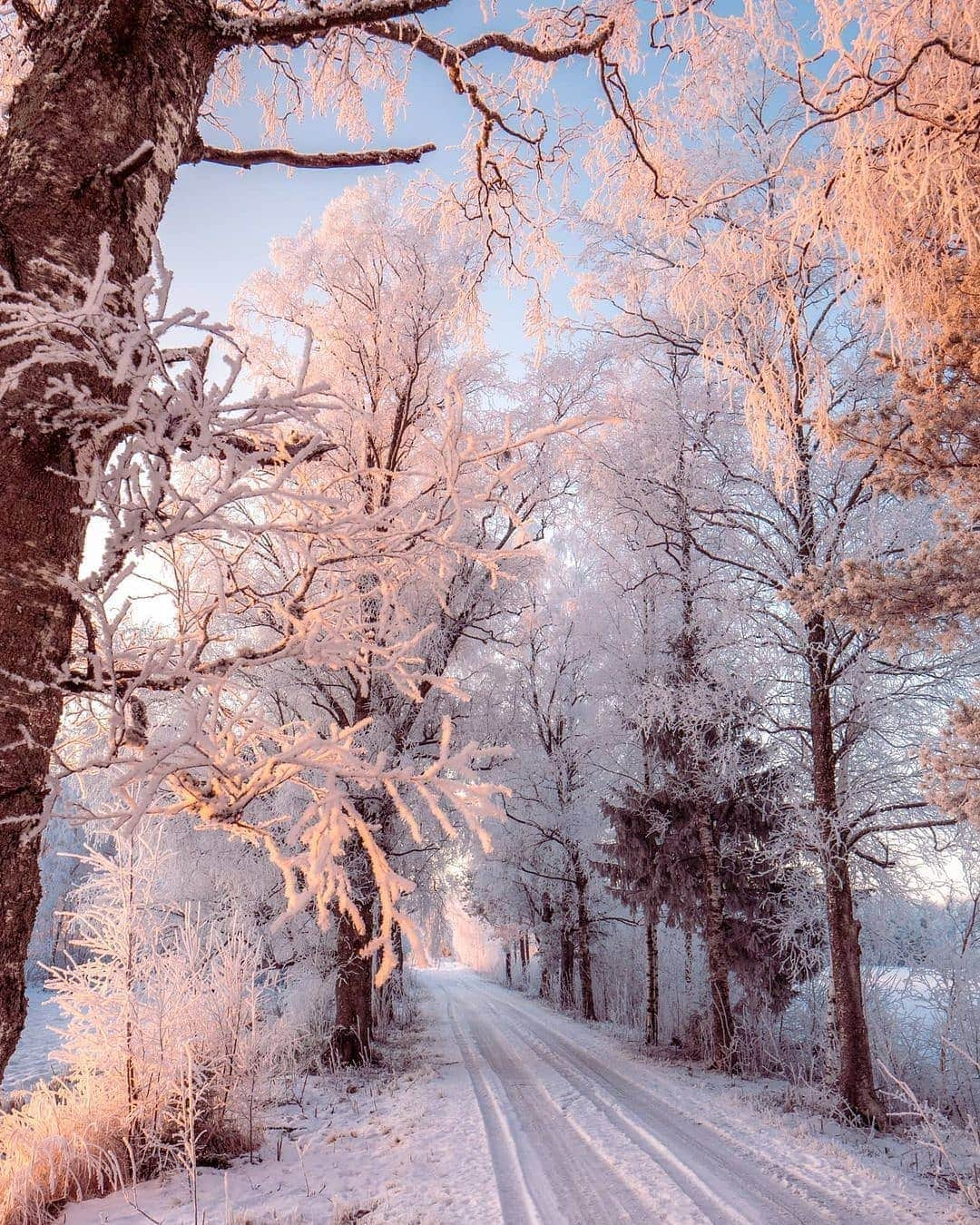 BEAUTIFUL DESTINATIONSさんのインスタグラム写真 - (BEAUTIFUL DESTINATIONSInstagram)「Pastel pink hues, powdery landscapes, and glorious sunsets—the magic of winter in Finland is a sight to behold! 🇫🇮  Winter here typically lasts from mid-November to late March. As you head north and east, winter gets even colder and longer—in northern Finland, winter temperatures often drop as low as -30°C or even down to -50°C. 🥶  Have you been to Finland in the winter? If not, do you plan to experience it in the future?   📸 @ville.kivimaki  📍 Finland」2月20日 18時37分 - beautifuldestinations