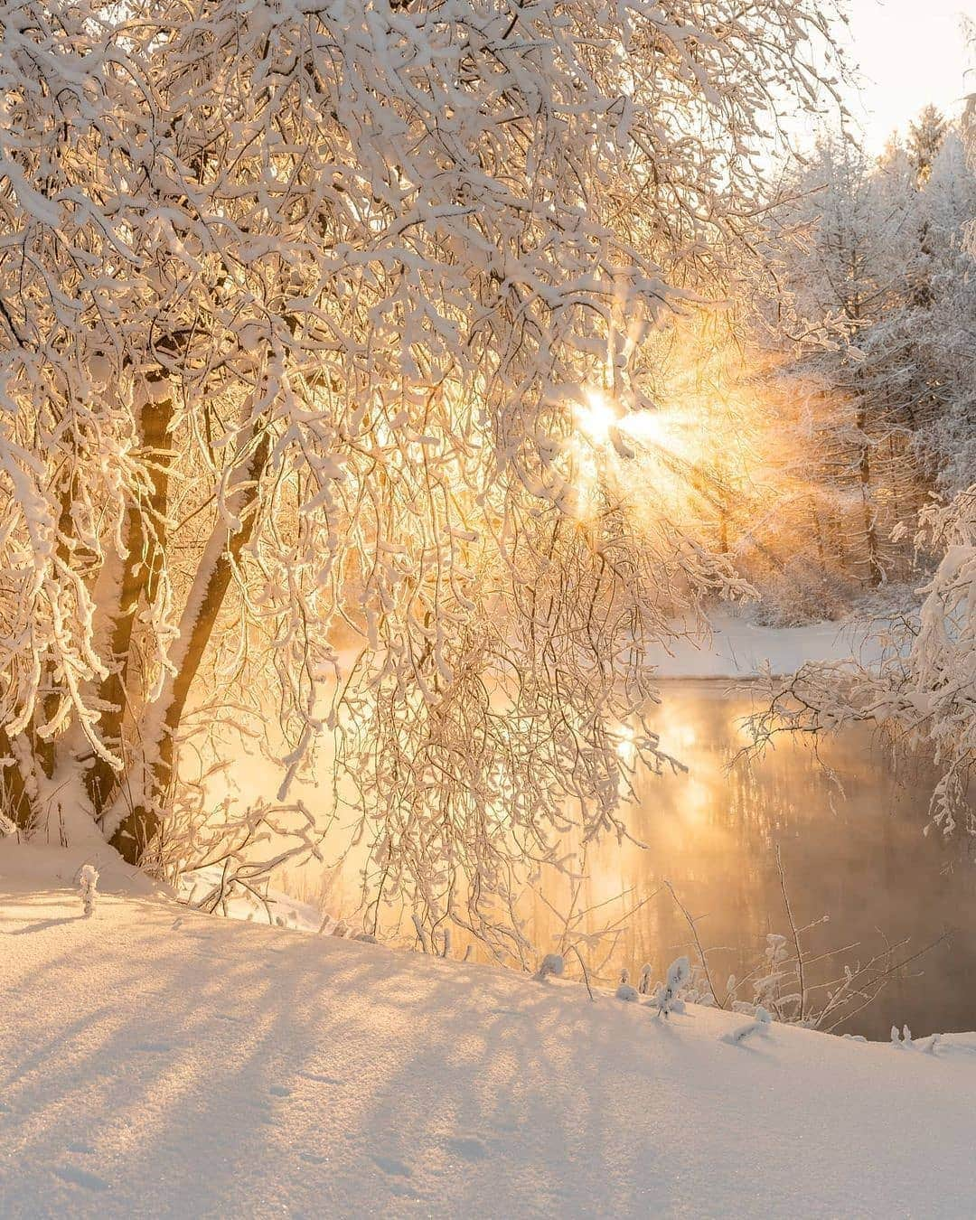 BEAUTIFUL DESTINATIONSさんのインスタグラム写真 - (BEAUTIFUL DESTINATIONSInstagram)「Pastel pink hues, powdery landscapes, and glorious sunsets—the magic of winter in Finland is a sight to behold! 🇫🇮  Winter here typically lasts from mid-November to late March. As you head north and east, winter gets even colder and longer—in northern Finland, winter temperatures often drop as low as -30°C or even down to -50°C. 🥶  Have you been to Finland in the winter? If not, do you plan to experience it in the future?   📸 @ville.kivimaki  📍 Finland」2月20日 18時37分 - beautifuldestinations