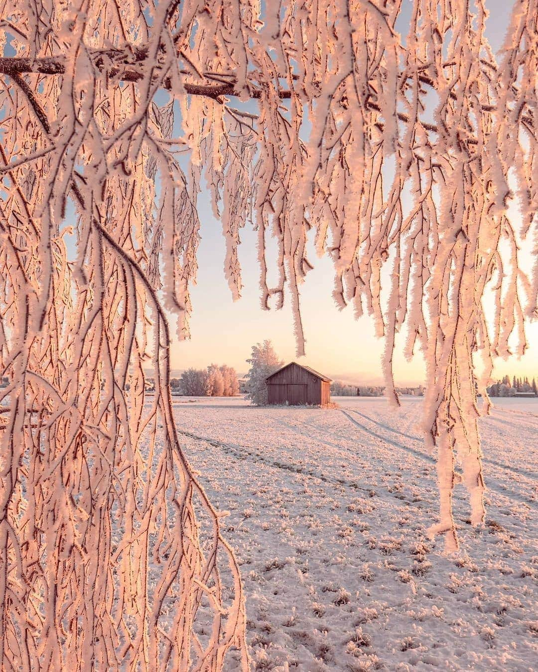 BEAUTIFUL DESTINATIONSさんのインスタグラム写真 - (BEAUTIFUL DESTINATIONSInstagram)「Pastel pink hues, powdery landscapes, and glorious sunsets—the magic of winter in Finland is a sight to behold! 🇫🇮  Winter here typically lasts from mid-November to late March. As you head north and east, winter gets even colder and longer—in northern Finland, winter temperatures often drop as low as -30°C or even down to -50°C. 🥶  Have you been to Finland in the winter? If not, do you plan to experience it in the future?   📸 @ville.kivimaki  📍 Finland」2月20日 18時37分 - beautifuldestinations