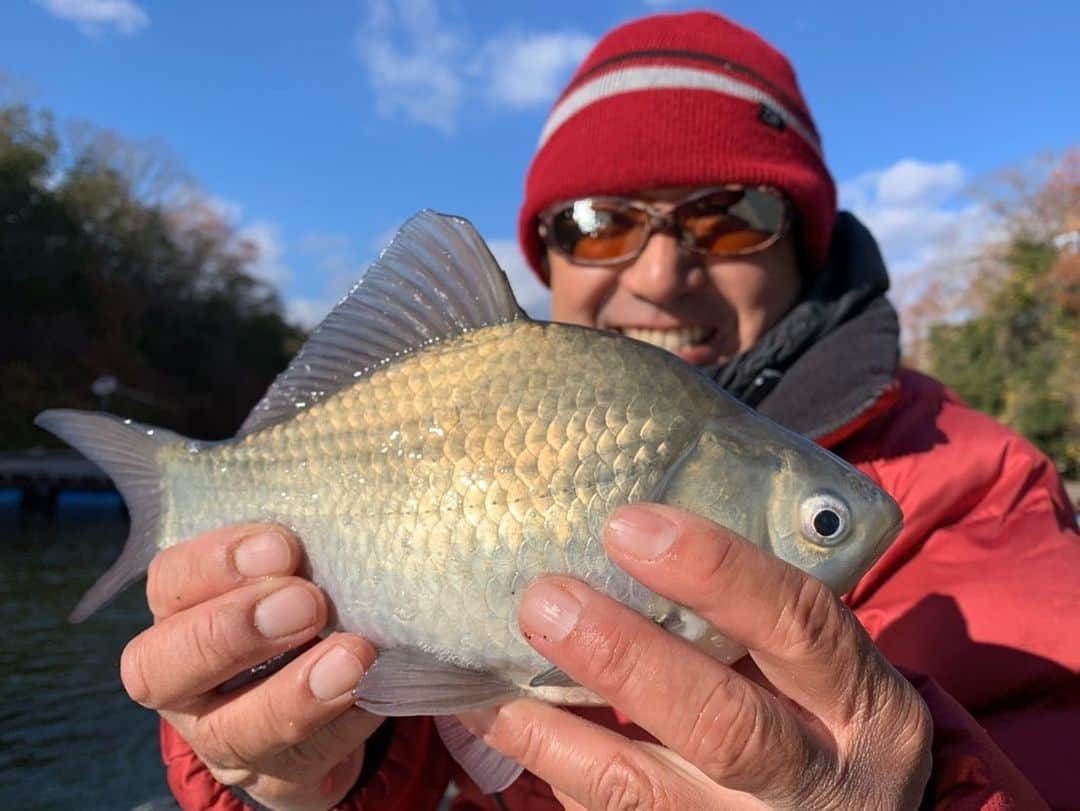 清水盛三のインスタグラム：「BIGMAMA FISHING TVの最新動画をYouTubeにアップしました⤴️ 今回は僕の釣りの原点ヘラブナ釣りです‼️ 釣りはヘラに始まりヘラで終わるって言葉もあるくらいやから ヘラブナ釣りをやられた事が無い方も是非是非一度見て下さいね‼️ ・ ・ ・ #bigmamafishingtv  #youtube  #ヘラブナ釣り #底釣り #段差の底釣り #ダイワ　#daiwa #f21 #サンライン #sunline #奏道糸 #0.6号 #奏ハリス #0.25号 #ゼクーbyジール #zequebyzeal #vero2nd」