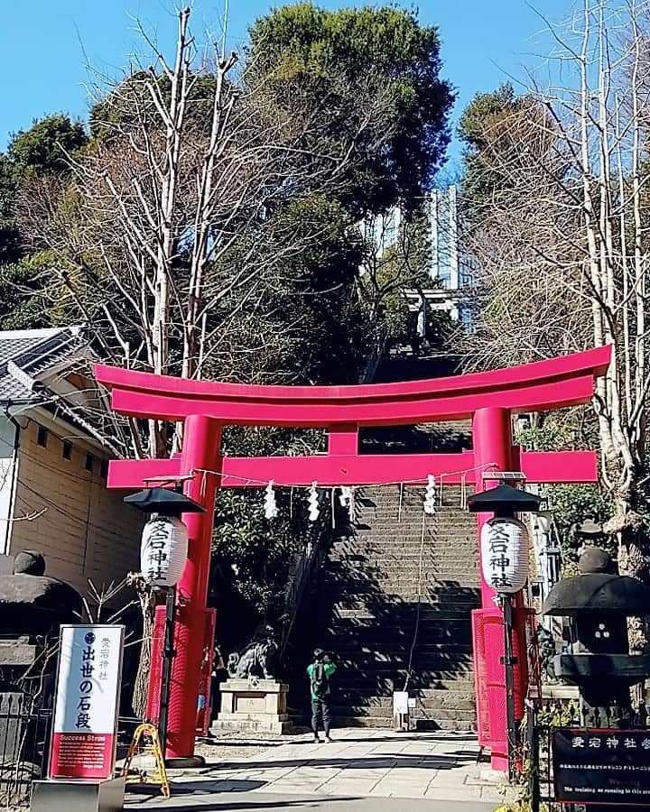 のインスタグラム：「今日は定期検診で、ついでに担当医の先生に新型コロナウイルスのワクチン接種についても相談してきました🙋 今の状態なら受けて大丈夫そうと言われたので、時期が来たら接種予定👍  通院の帰りに愛宕神社へ立ち寄って、古いお守りを御預けして、新しいお守りを手に入れてきましたv(´∀｀*v) 神社で白い猫が日向ぼっこしてたので、思わず写真撮っちゃった📷  早朝は寒かったのに、日中は暑いのと花粉のムズムズで大変だったので、早くお家に帰って高機能加湿器の前に鎮座したかった(笑)  #定期検診 #担当医 #新型コロナウイルスワクチン #ワクチン接種 #愛宕神社 #白猫 #日向ぼっこ #寒い #暑い #寒暖差 #花粉 #高機能加湿器  #悠木あやね #AyaneYuki #YukiAyane #유우키아야네 #カプセルエージェンシー #capsuleagency #AV女優 #セクシー女優 #アダルト女優 #女優 #モデル #asiangirls #asiandoll #asianbeauty #asiansexy #japanese #japanesegirl #japanesegirls」