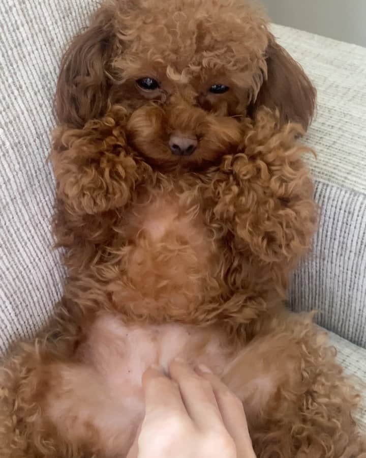 エレナ・ペルミノヴァのインスタグラム：「Saturday mood Дратуте 😁」