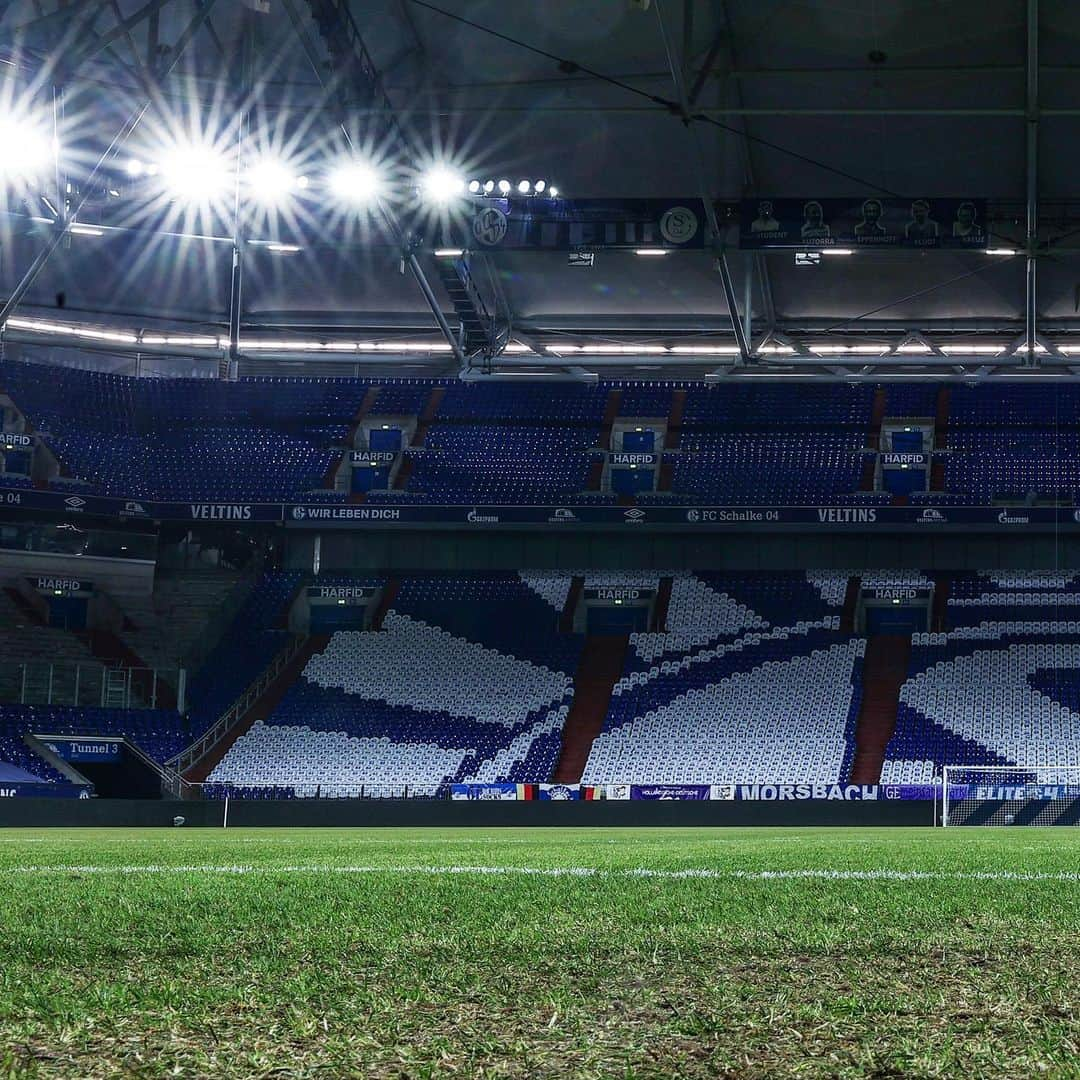 シャルケ04さんのインスタグラム写真 - (シャルケ04Instagram)「🔵 #GEmeinsam für Schalke! ⚪️ . . Was für eine geile Aktion! Schenkt mal @blauweissesgesocks & @s04fanbelange für diese fette T-Shirt-Choreo ein großes 💙 in den Kommentaren!  . . #S04 #Schalke #Knappen #Königsblau #GEmeinsam #NurDerS04 #Revierderby #Choreo」2月20日 18時41分 - s04