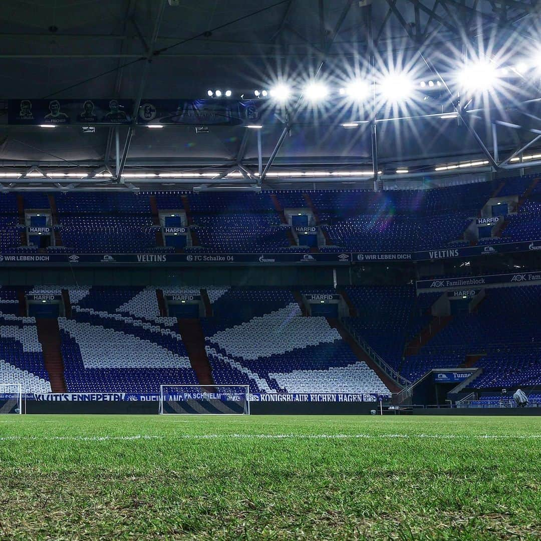 シャルケ04さんのインスタグラム写真 - (シャルケ04Instagram)「🔵 #GEmeinsam für Schalke! ⚪️ . . Was für eine geile Aktion! Schenkt mal @blauweissesgesocks & @s04fanbelange für diese fette T-Shirt-Choreo ein großes 💙 in den Kommentaren!  . . #S04 #Schalke #Knappen #Königsblau #GEmeinsam #NurDerS04 #Revierderby #Choreo」2月20日 18時41分 - s04