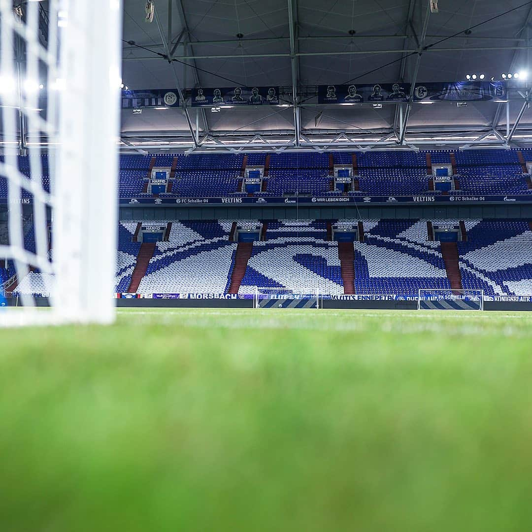 シャルケ04さんのインスタグラム写真 - (シャルケ04Instagram)「🔵 #GEmeinsam für Schalke! ⚪️ . . Was für eine geile Aktion! Schenkt mal @blauweissesgesocks & @s04fanbelange für diese fette T-Shirt-Choreo ein großes 💙 in den Kommentaren!  . . #S04 #Schalke #Knappen #Königsblau #GEmeinsam #NurDerS04 #Revierderby #Choreo」2月20日 18時41分 - s04