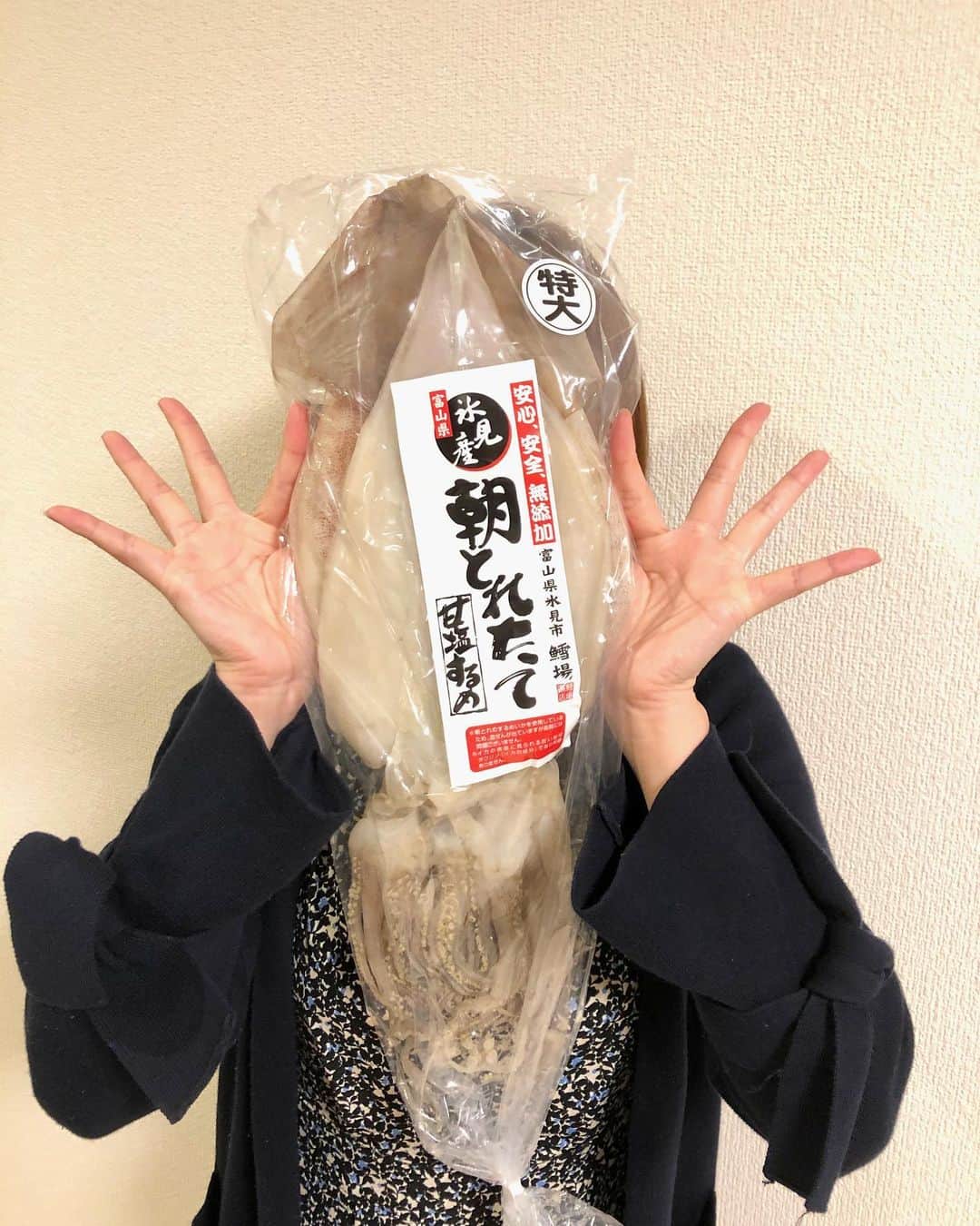 南條早紀さんのインスタグラム写真 - (南條早紀Instagram)「イカーーー🦑！ . どーん！と大きい氷見産の スルメイカの一夜干し💓 大きい〜〜〜！！ . 顔の大きさの約3倍、 幅もわたしの顔がすっぽり収まる大きさ🤣 . とっても肉厚で、塩加減も絶妙で グリルで焼いて食べたら最高❤️ 七味マヨネーズつけたら優勝🤤笑 おいしかったーーー😭 富山湾の恵み、素晴らしい…👏 . . #富山県 #富山 #氷見市 #氷見 #富山県産 #富山湾 #一夜干し #スルメイカ #イカ #干物 #肉厚 #おつまみ #お酒のつまみ #お酒好き女子 #お酒がすすむ #おいしい #美味しい #甘塩するめ #無添加 #富山グルメ #氷見グルメ #富山湾の魚 #氷見漁港 #魚 #魚好き  #富山テレビ #bbt #アナウンサー #南條早紀 #なんじょうのにちじょう」2月20日 18時53分 - nanjo_saki