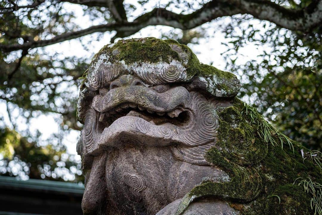 近藤研二さんのインスタグラム写真 - (近藤研二Instagram)「府中駅からすぐ、その大きな神社はありました。モイのお礼参り。今日は東京都府中市にある大國魂神社（おおくにたまじんじゃ）へ。ケヤキ並木の参道や境内の大イチョウがその長い歴史を物語っています。「病気平癒」の二つの御守。この場所でもモイのために手を合わせてくださった方がいたことに思いをはせ、4年越しに返納させていただきました。ありがとうございました。  #モイお礼参り #大國魂神社」2月20日 19時06分 - kenjikond0