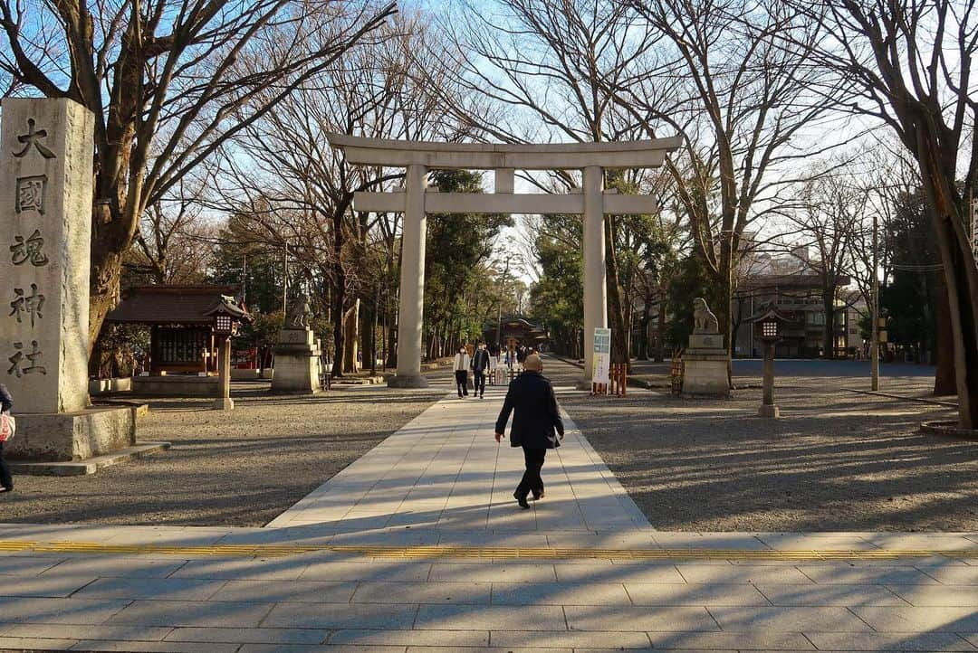 近藤研二さんのインスタグラム写真 - (近藤研二Instagram)「府中駅からすぐ、その大きな神社はありました。モイのお礼参り。今日は東京都府中市にある大國魂神社（おおくにたまじんじゃ）へ。ケヤキ並木の参道や境内の大イチョウがその長い歴史を物語っています。「病気平癒」の二つの御守。この場所でもモイのために手を合わせてくださった方がいたことに思いをはせ、4年越しに返納させていただきました。ありがとうございました。  #モイお礼参り #大國魂神社」2月20日 19時06分 - kenjikond0