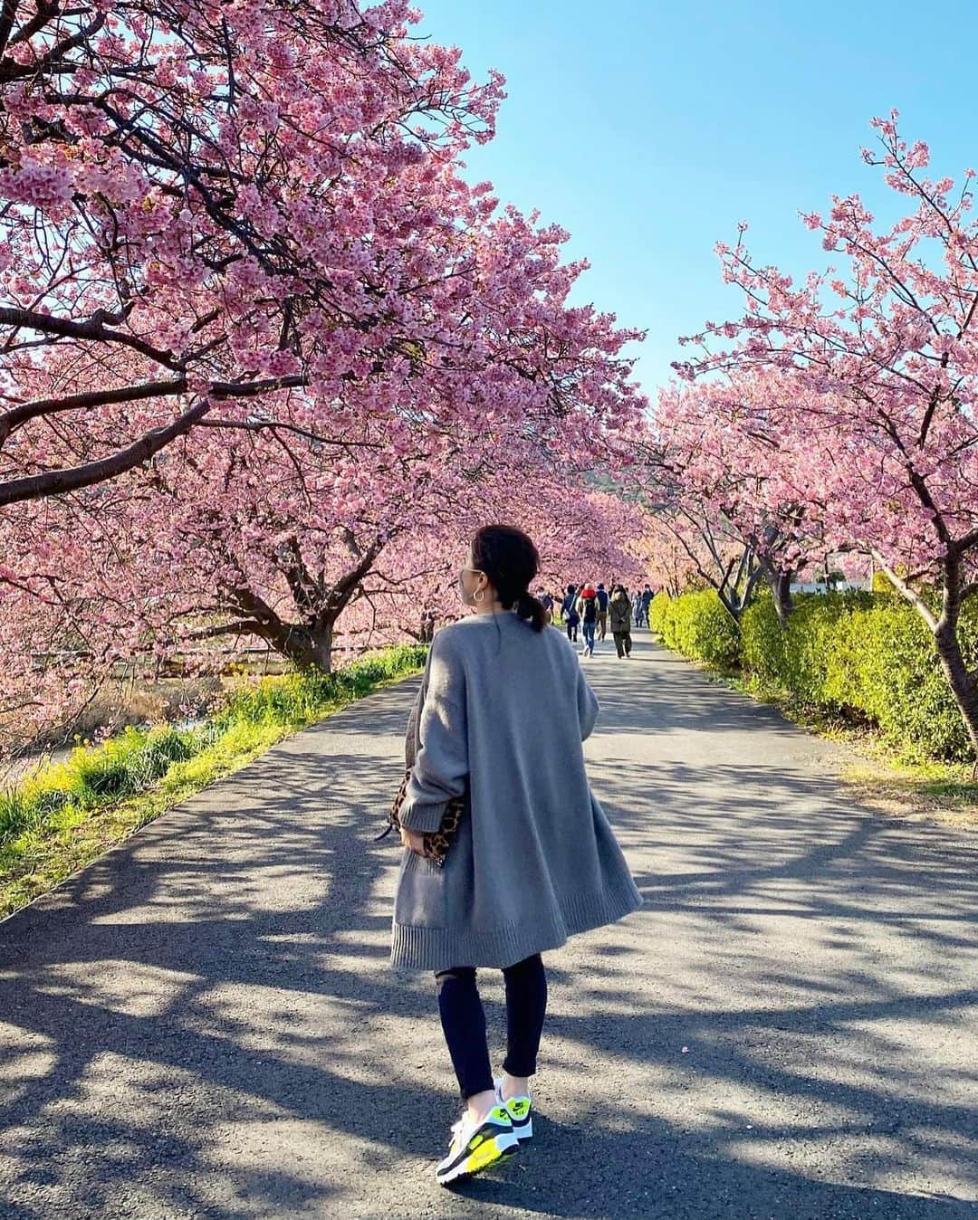 chiyo1173さんのインスタグラム写真 - (chiyo1173Instagram)「🌸🌸🌸 毎年恒例、ひと足早いお花見。 河津桜を見に行って来ました。 ・ ・ 例年のように 泊まりでゆっくり行けるような状況ではまだないので、 早朝に家を出て日帰り。 でも渋滞もなく桜は満開でお天気も最高！ 綺麗な桜と菜の花を存分に楽しむ事が出来ました🌸 ・ ・ 年明けから身辺不穏な事続きで… 仕事と家の往復以外は 買い出しに行く程度しかどこにも行けず、 SNSにもあまり気も向かず ちょっと気持ちも下向きがちだったけど、 良い気分転換が出来ました✨✨ ・ ・ #河津桜#桜#🌸#cherryblossom#南伊豆#大人の休日#春#春コーデ#ootd#コーデ#大人カジュアル#シンプルコーデ#きれいめカジュアル#スニーカー女子#nikeairmax#airmax90#エアマックス#エアマックス90#大人女子コーデ#ロカリ#locari」2月20日 19時16分 - chiyo1173