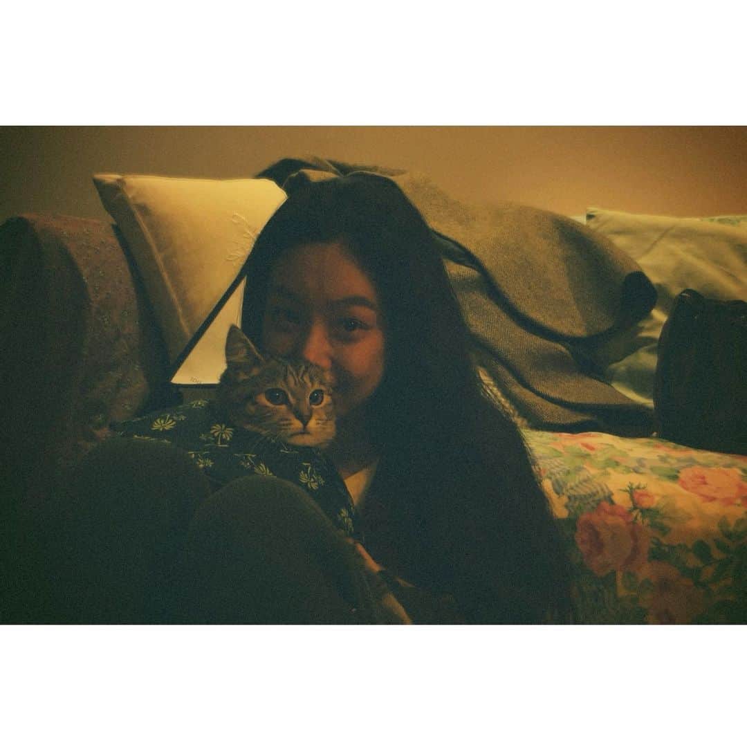 チョン・リョウォンのインスタグラム：「. 드디어 만났다  부암동 김마고. 응 알았어. 놔주께에🙀😽😺😸」